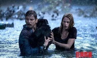 巨鳄风暴爆料视频,惊心动魄的生态危机揭秘