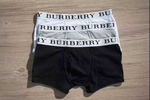 极品内裤日本,极品内裤的日本风情之旅