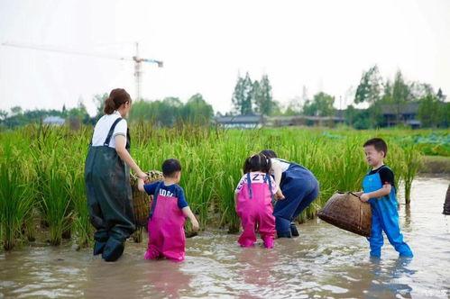 无码在线www.bbbxo.com,带你探索网络世界的隐秘角落