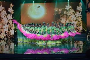 小太阳的舞蹈视频,动感视频引燃全场