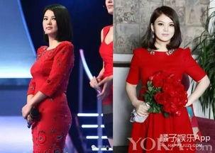 看女明星八卦大爆料视频,女明星八卦大爆料视频全解析