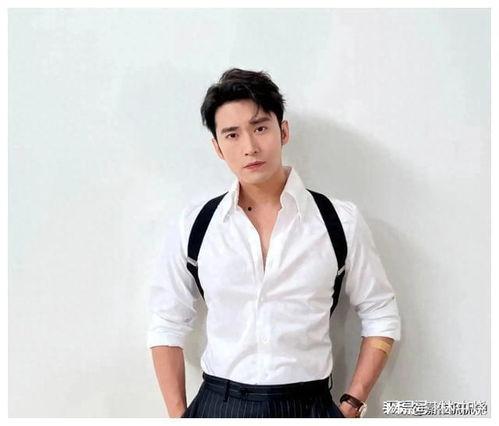 新出名的男明星,揭秘新晋人气男明星的崛起之路