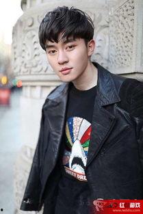 炫酷男明星,炫酷男星魅力四溢