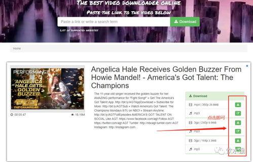 如何从youtube下载视频,从YouTube下载视频的完整指南