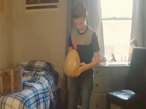 有关于男童的av吗