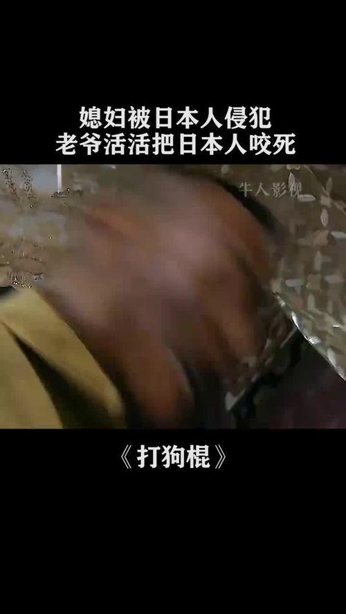亚洲日本侵犯在线播放,亚洲版权纠纷背后的真相