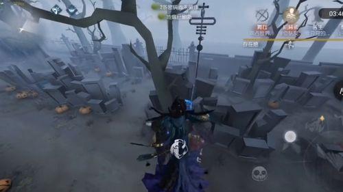 红蝶绿孔雀爆料视频大全,揭秘娱乐圈幕后真相