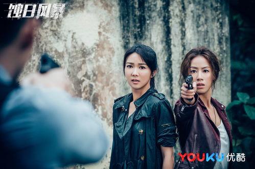 蚀日风暴20集在线播放,高潮迭起，悬念揭晓